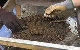 Volunteers looking through soil 